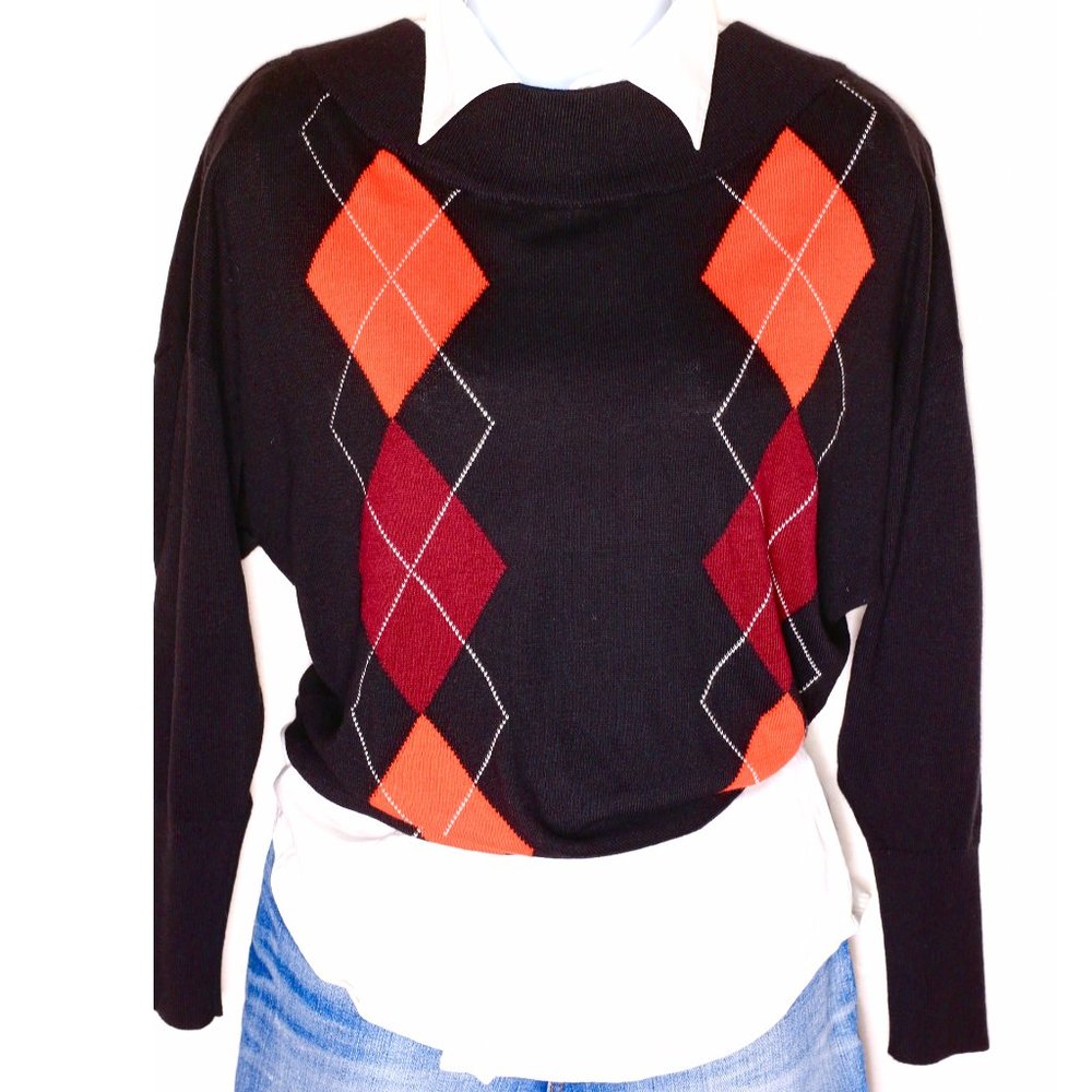 NWT Express Sweater